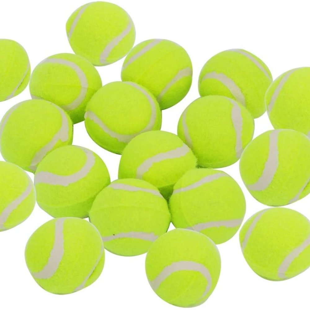 20 Pack Tennis Balls for Small Dogs, Pet Toys for Playing and Training, 2 inch